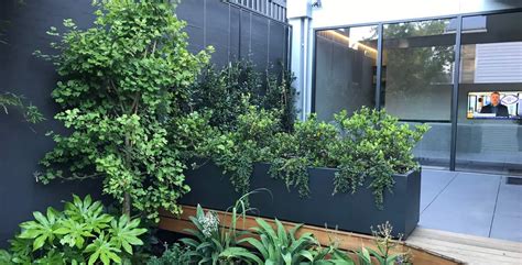 custom metal planter boxes melbourne|custom planter boxes Melbourne.